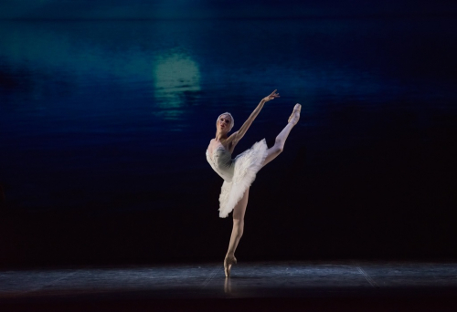 Svetlana Bednenko - Artista